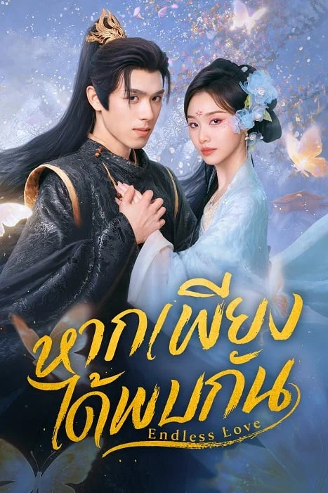 Endless Love หากเพียงได้พบกัน Poster